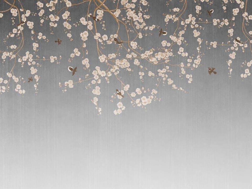 Fototapeta Sakura na szarym tle