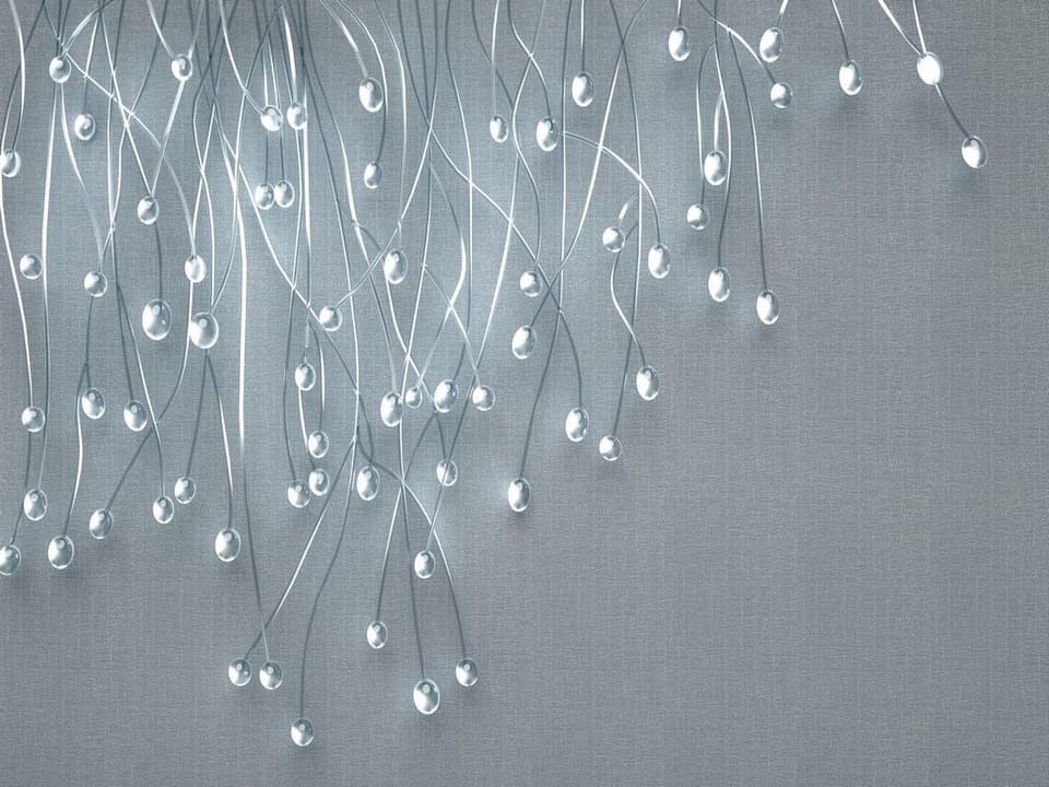 Fototapeta Srebrne gałązki na szarym tle