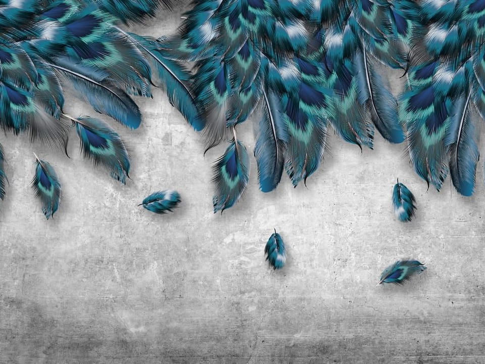 Fototapeta Niebieskie pióra na szarym tle