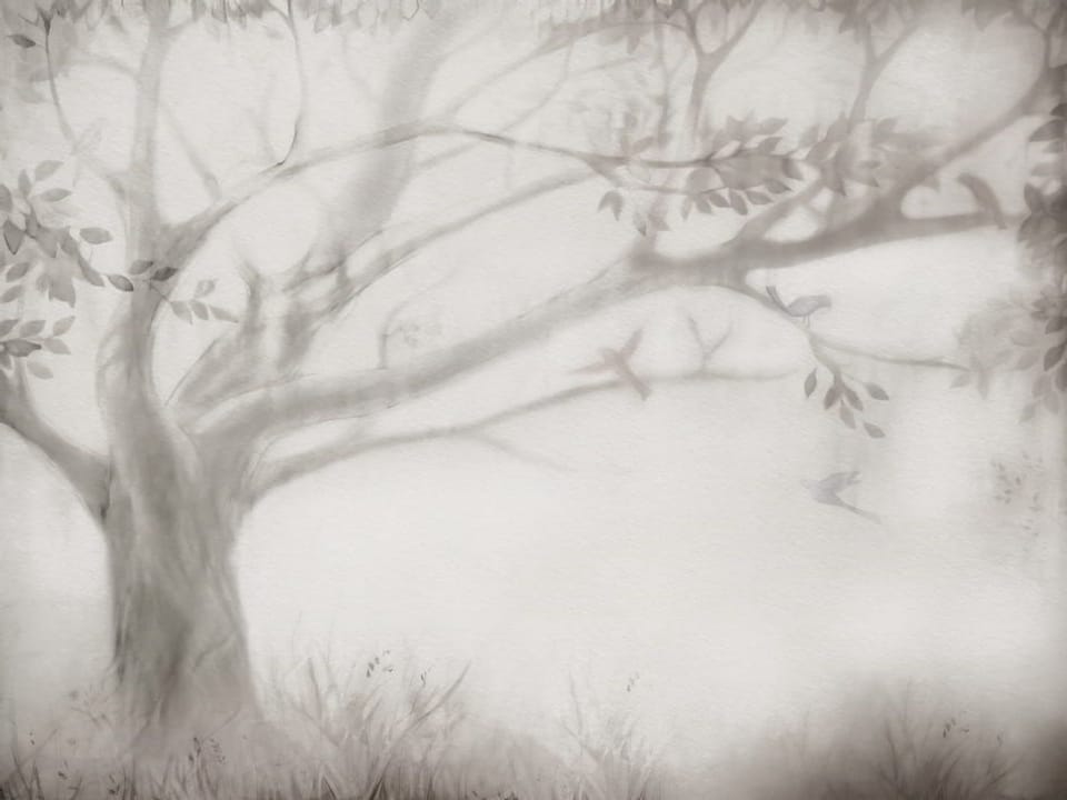 Fototapeta Drzewo z Rozłożystymi Gałęziami