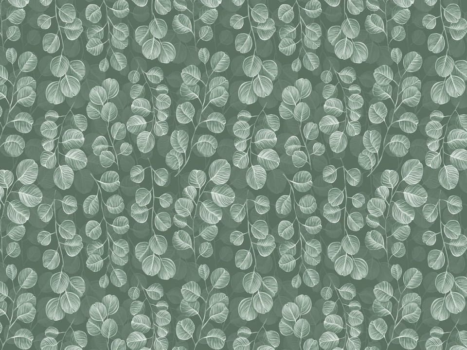 Fototapeta Zielone liście z białymi konturami