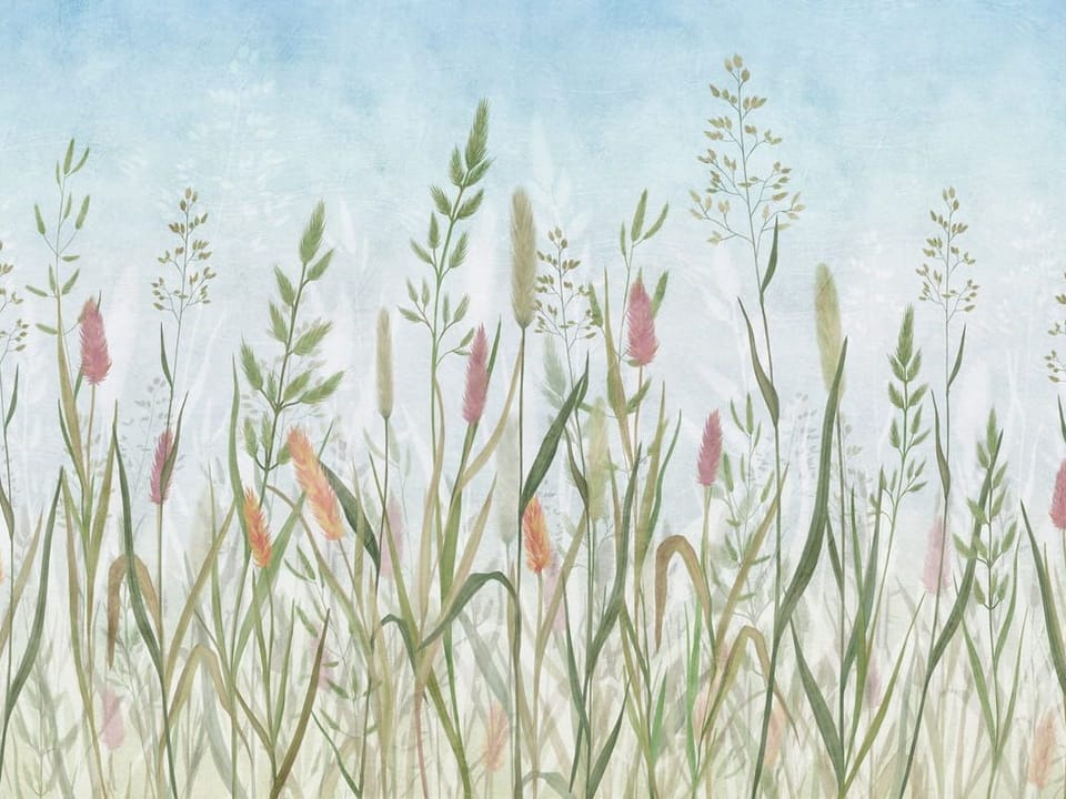 Fototapeta Łąka pełna polnych kwiatów