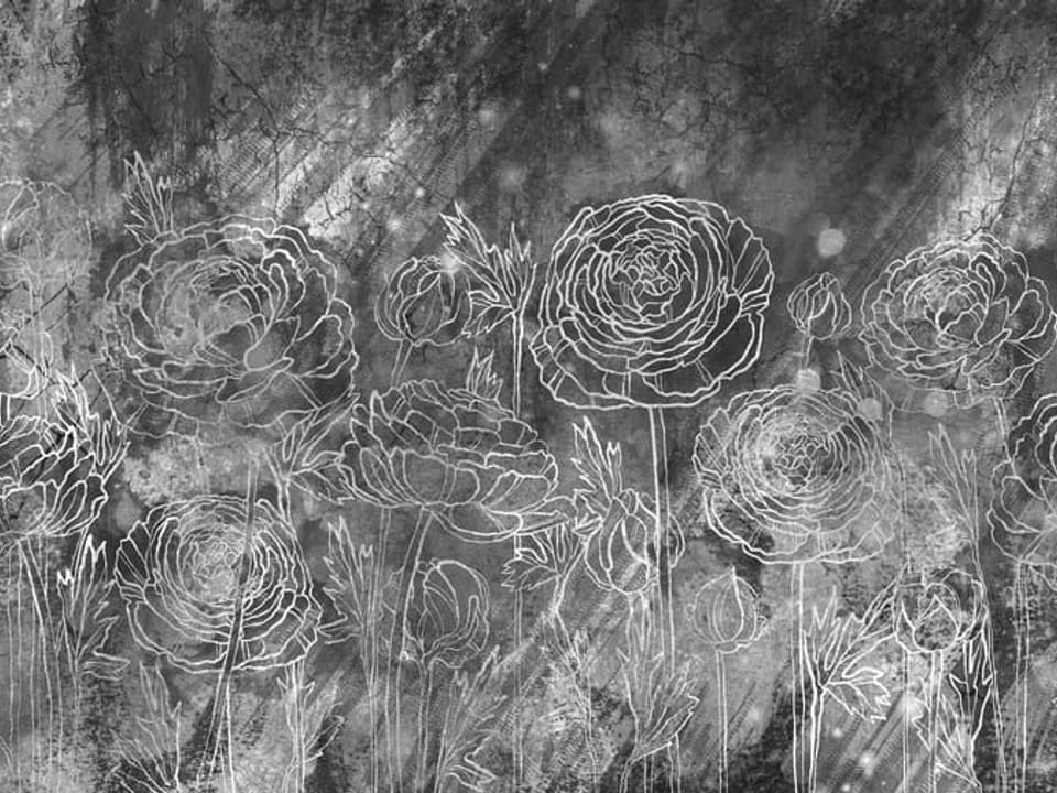 Fototapeta Kwiaty z Zarysowanymi Konturami