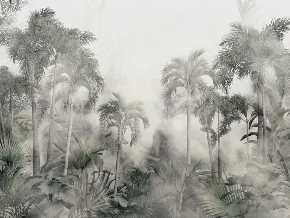 Fototapeta Palmy w gęstej mgle