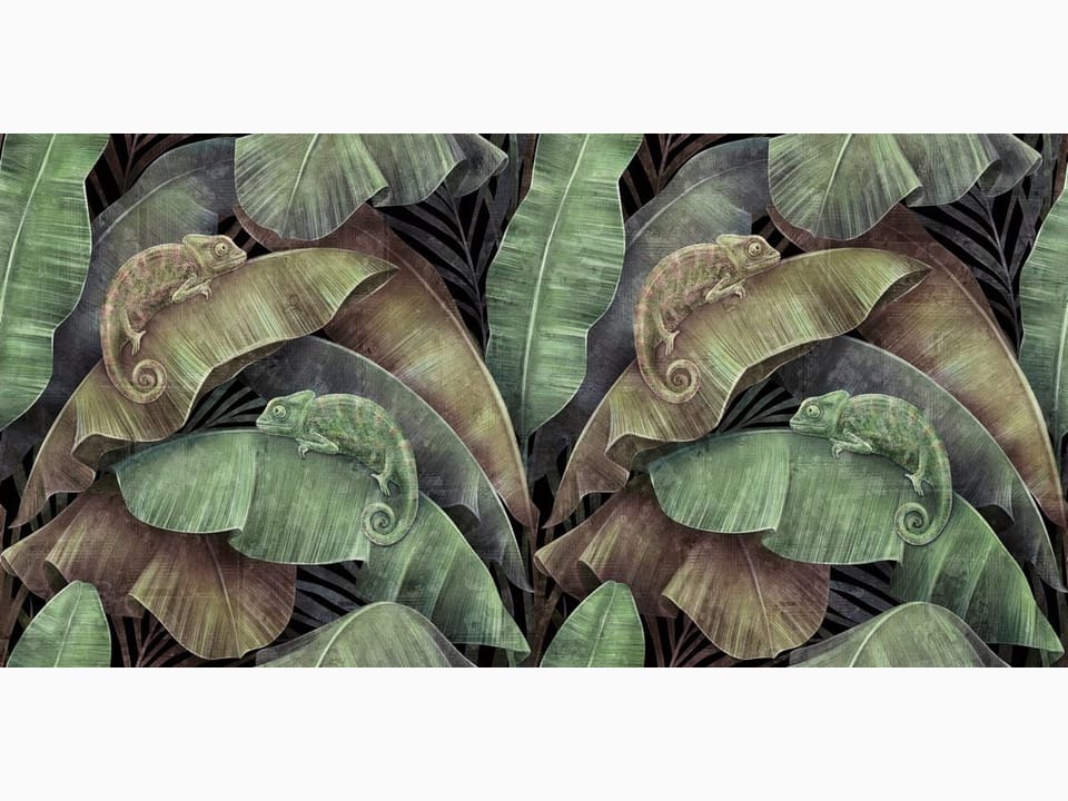 Fototapeta Kameleony wśród zielonych liści