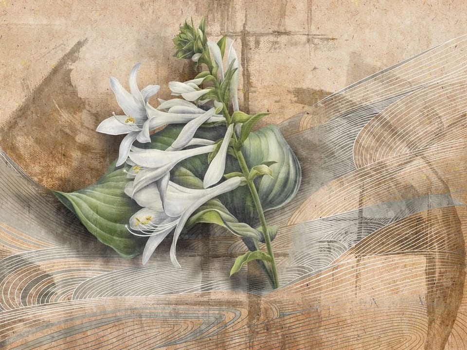 Fototapeta Białe lilie z zielonymi liśćmi