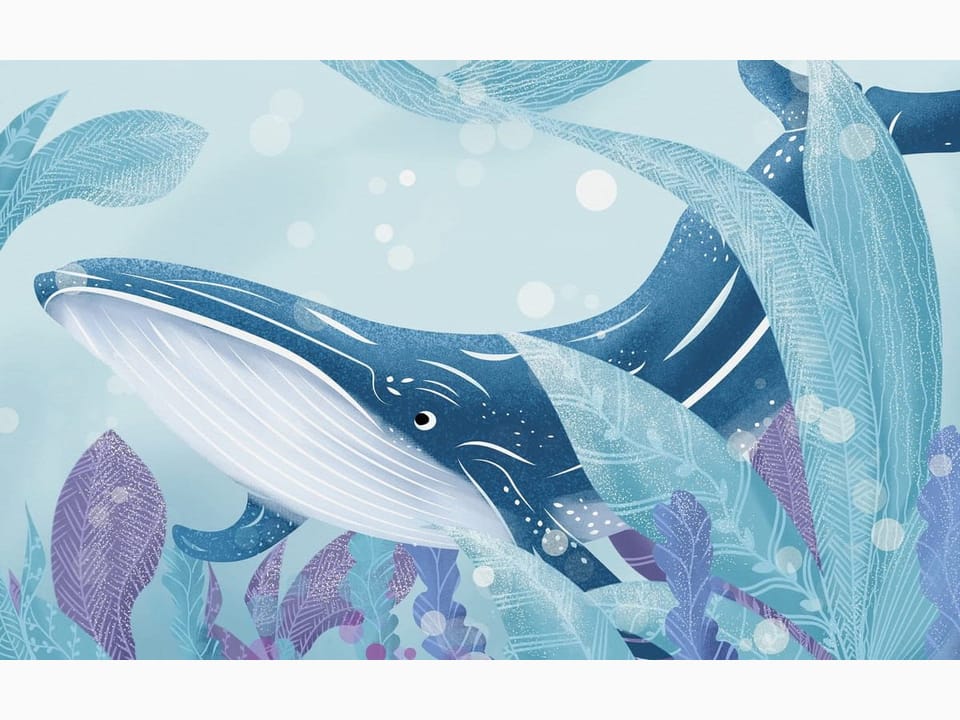 Fototapeta Wieloryb wśród podwodnych roślin