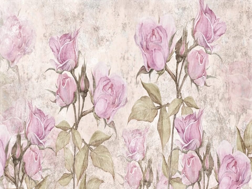 Fototapeta Różowe kwiaty róż z zielonymi liśćmi