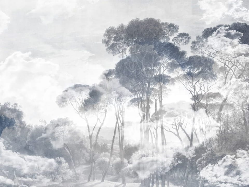 Fototapeta Wysokie drzewa wśród chmur