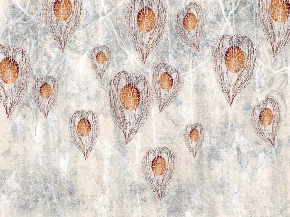 Fototapeta Abstrakcyjne osłonki owoców