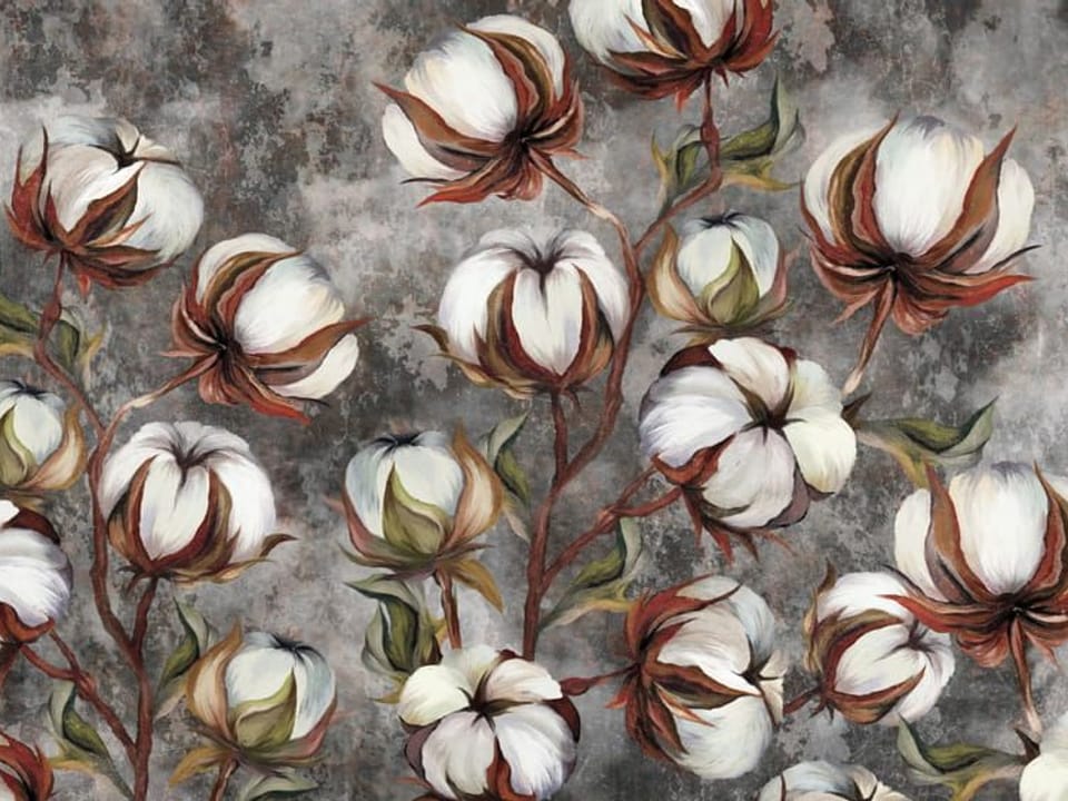 Fototapeta Kwiaty bawełny na gałęziach