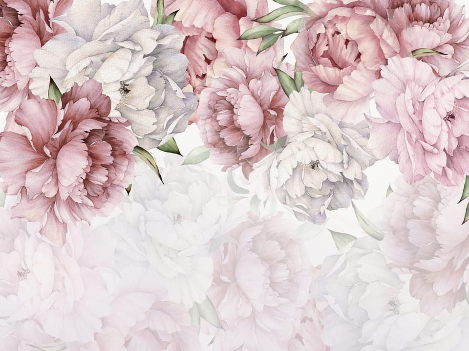 Fototapeta Piwonie w pastelowych odcieniach