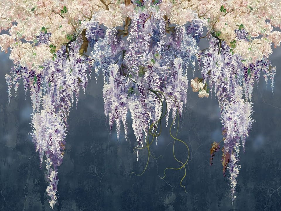 Fototapeta Egzotyczne kwiaty wisterii