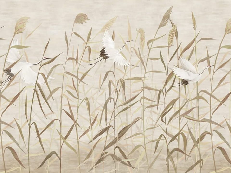 Fototapeta Ptaki wśród wysokich traw