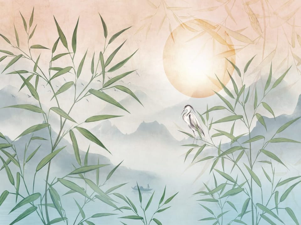 Fototapeta Bambusowe Liście i Słońce