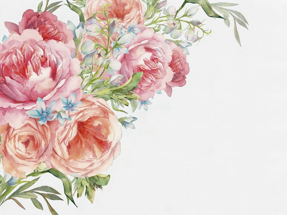 Fototapeta Różowe piwonie z liśćmi