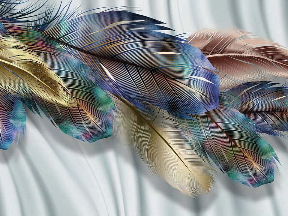 Fototapeta Kolorowe Pióra na Białym Tle