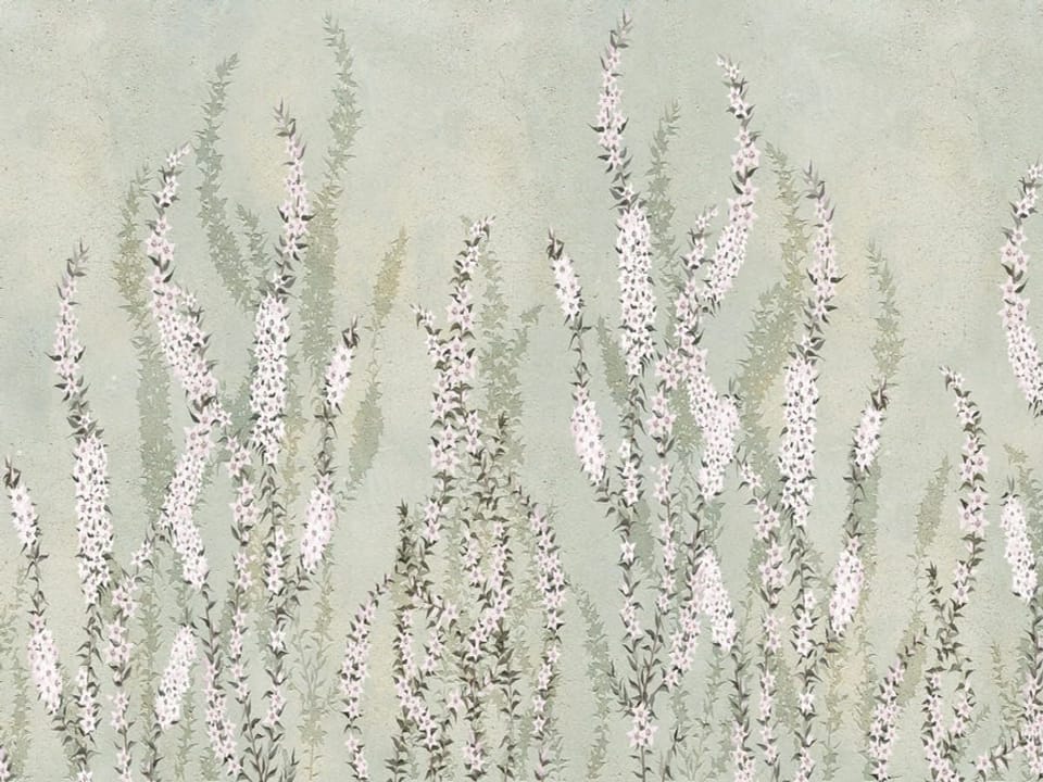 Fototapeta Kwiaty polne na jasnym tle