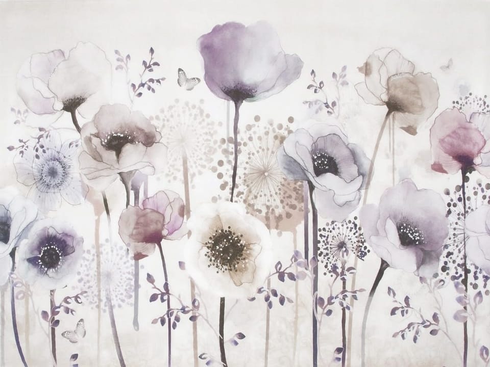 Fototapeta Delikatne maki w pastelowych barwach