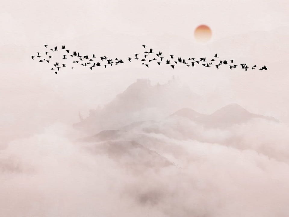 Fototapeta Ptaki nad górskim krajobrazem