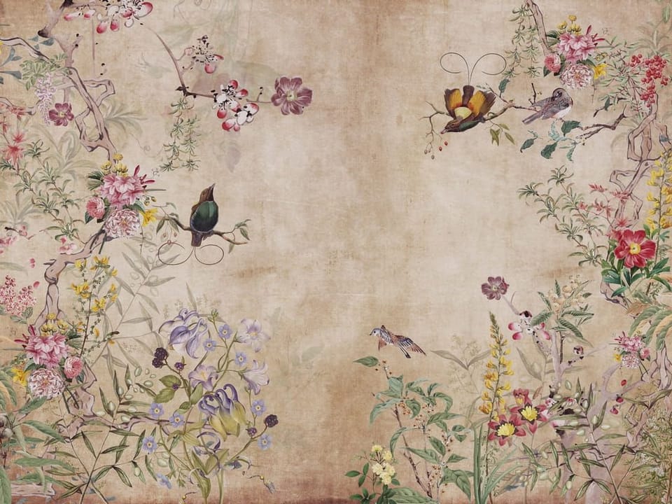 Fototapeta Kwiaty polne na jasnym tle