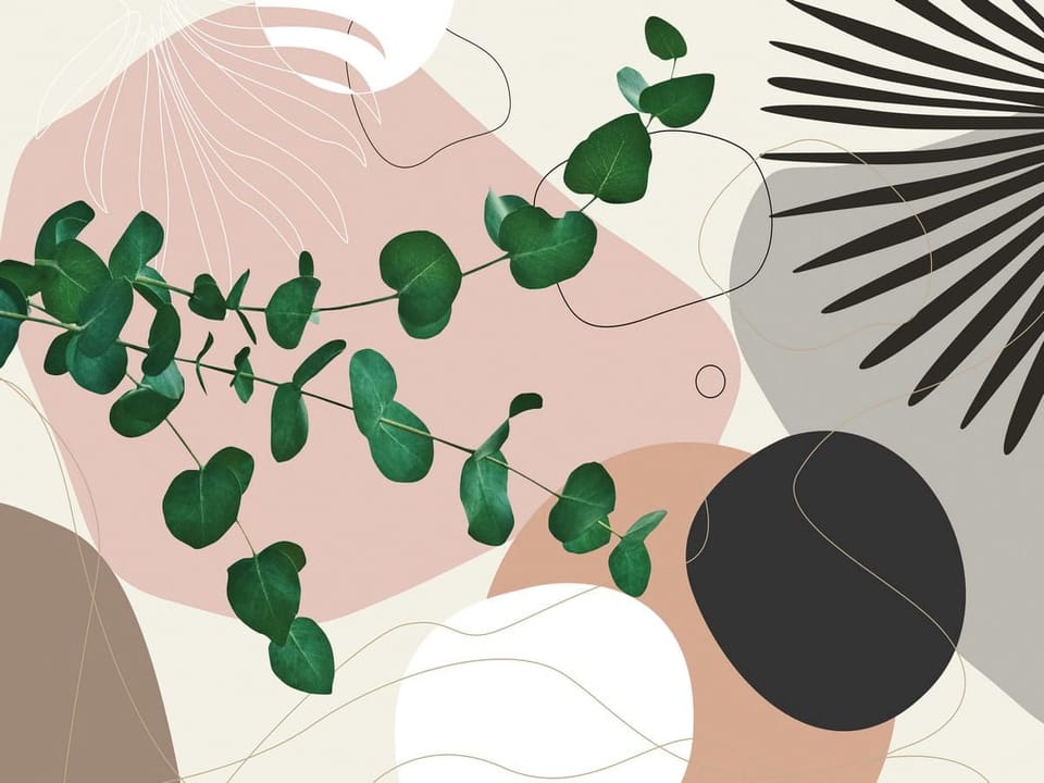 Fototapeta Zielona Gałązka i Abstrakcje