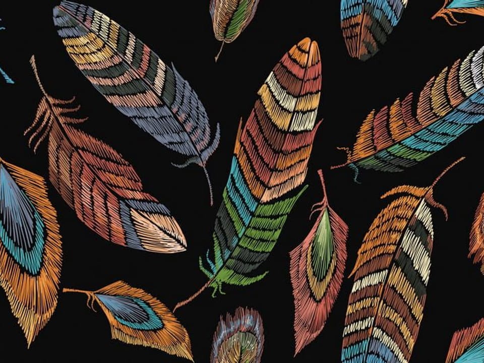 Fototapeta Kolorowe pióra na czarnym tle