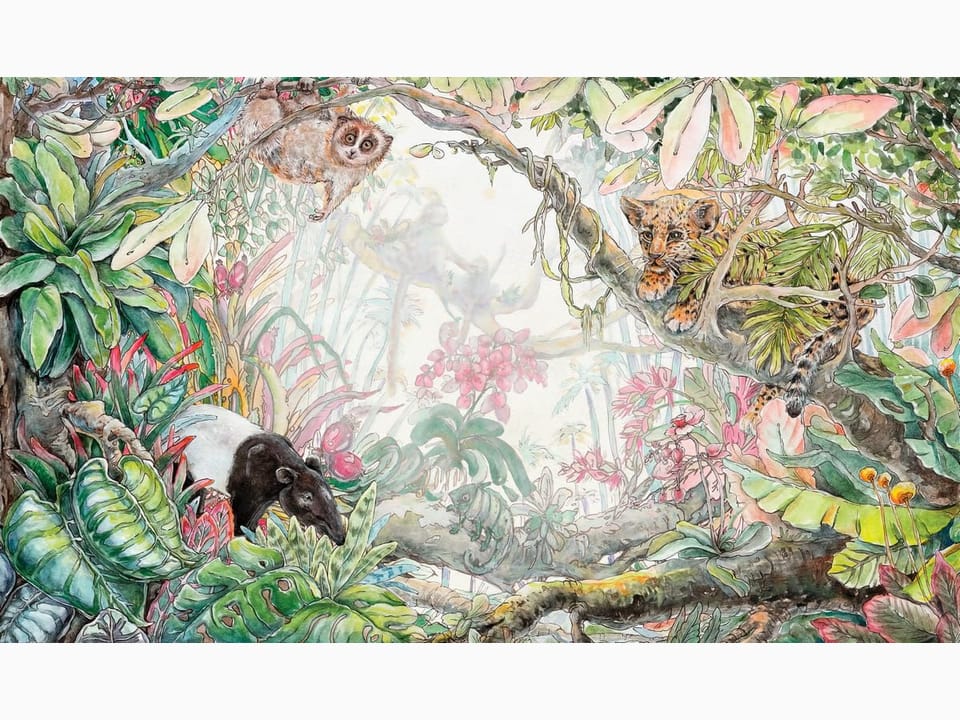 Fototapeta Zwierzęta w tropikalnym lesie