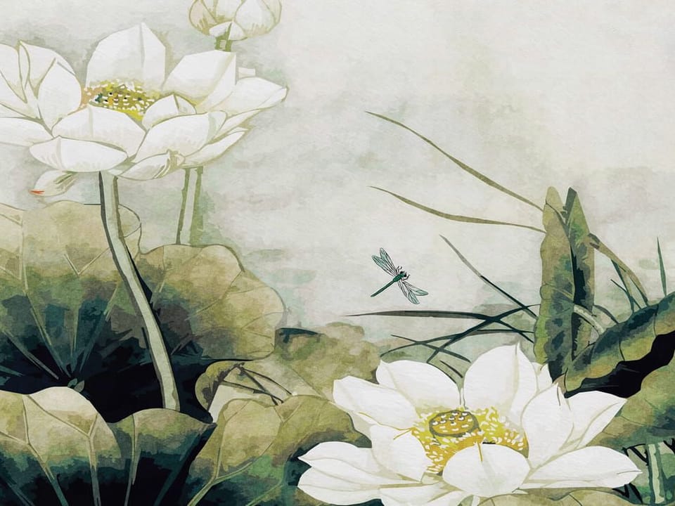 Fototapeta Lilie na wodzie z lotosem