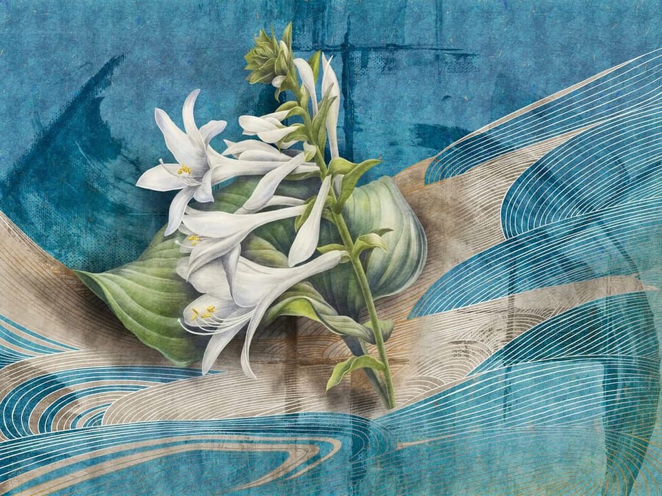 Fototapeta Białe lilie na tle natury