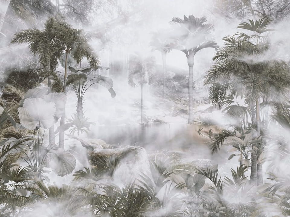 Fototapeta Tajemniczy las tropikalny