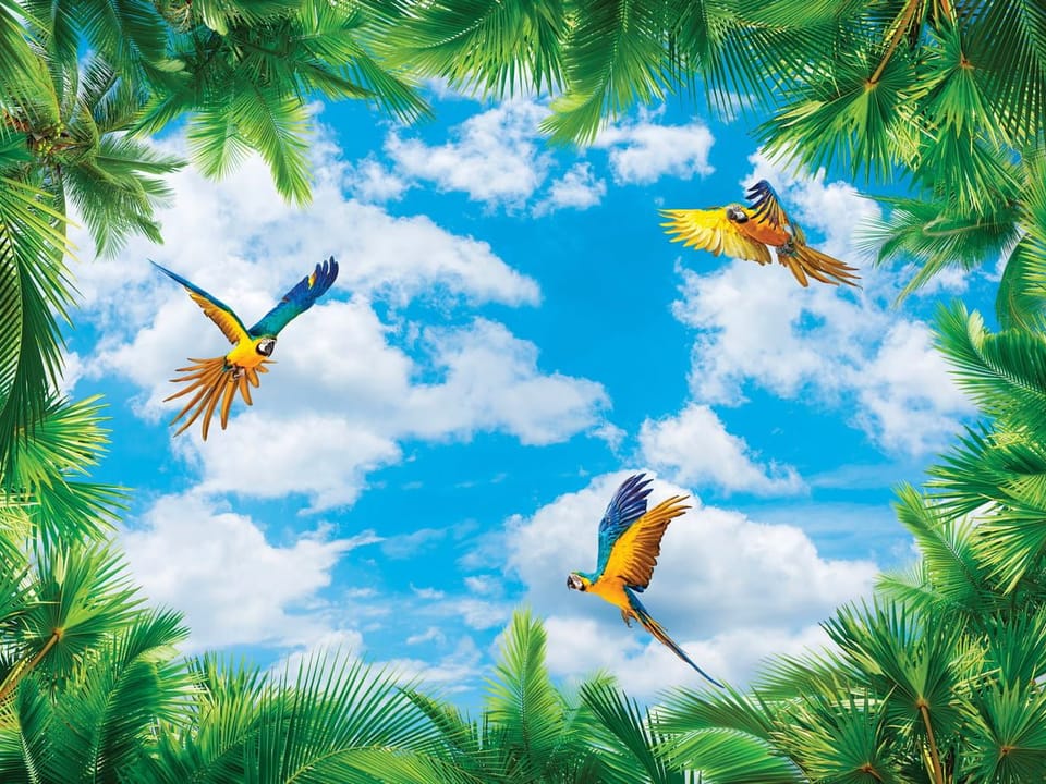 Fototapeta Papugi na tle nieba