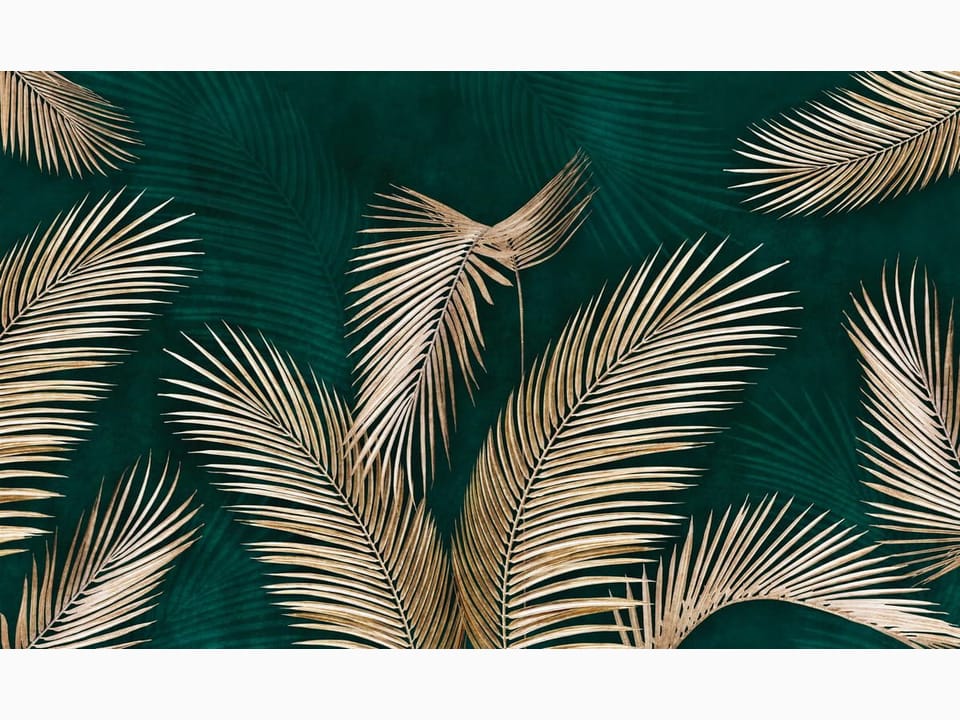 Fototapeta Liście palmowe na ciemnym tle