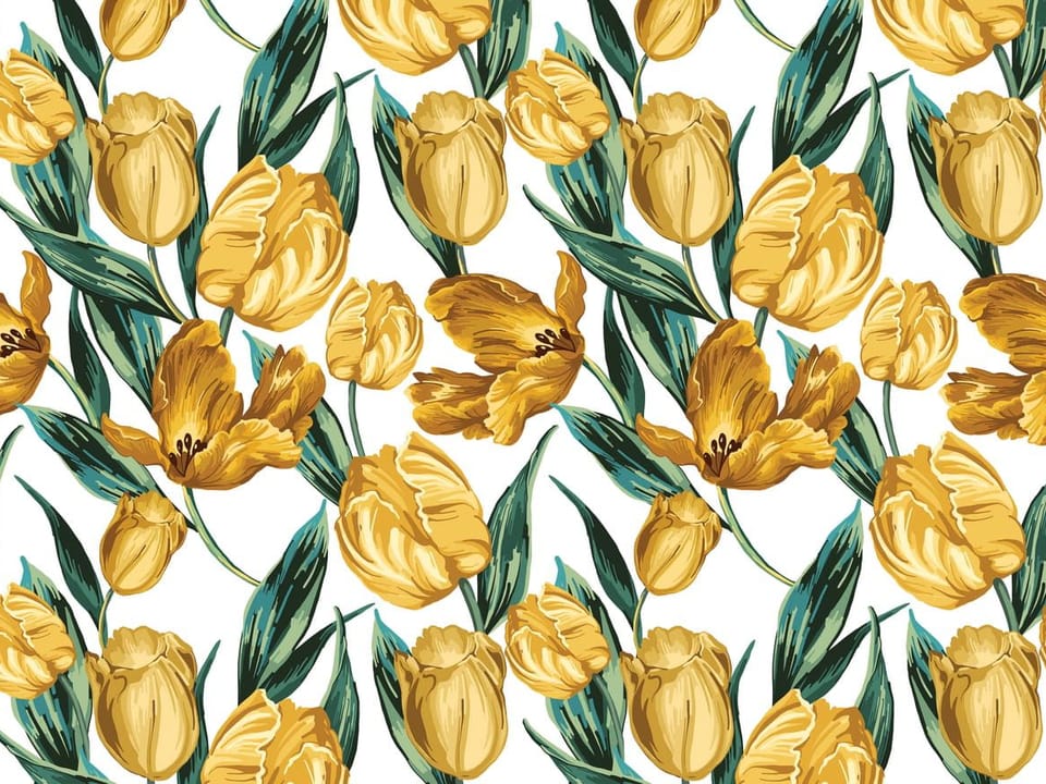 Fototapeta Żółte tulipany na białym tle