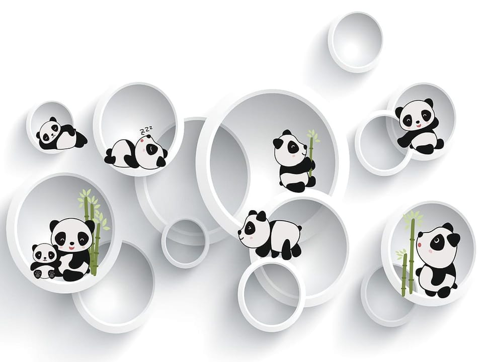 Fototapeta Pandy w Okrągłych Ramach