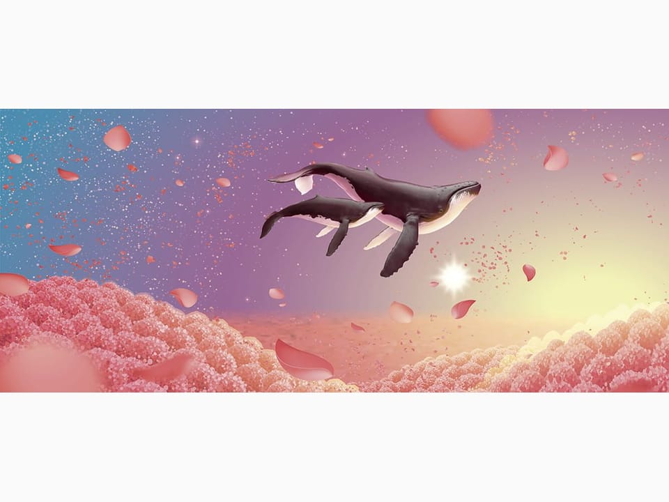 Fototapeta Wieloryby w Różowych Chmurach