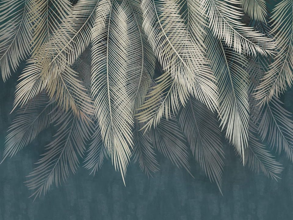 Fototapeta Liście palmowe na ciemnym tle