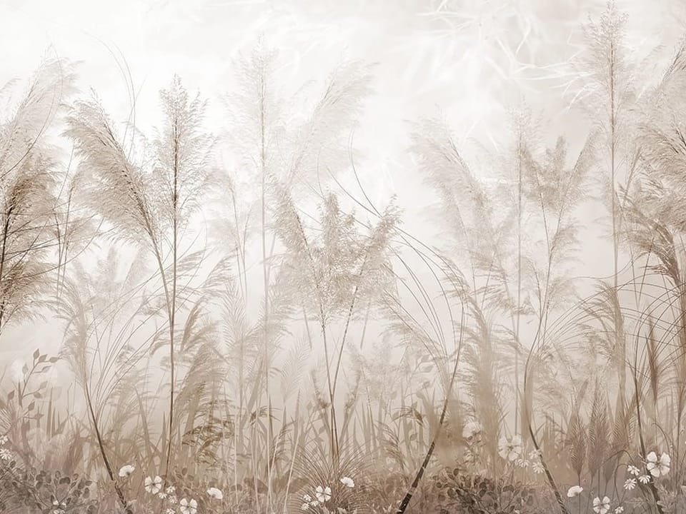 Fototapeta Spokojny krajobraz z trawami