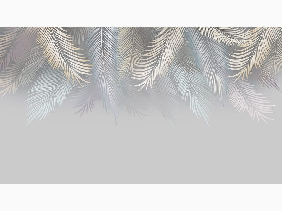 Fototapeta Liście palmowe na szarym tle