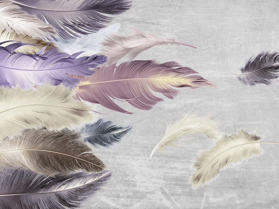 Fototapeta Kolorowe pióra na szarym tle