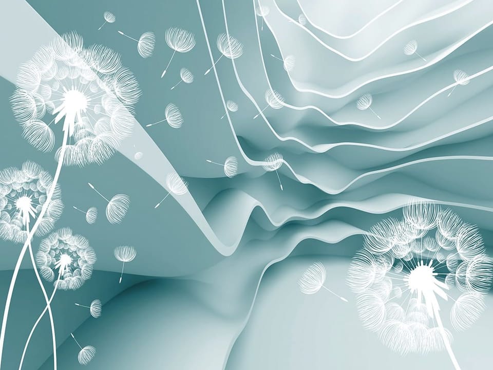 Fototapeta Białe dmuchawce i fale 3D