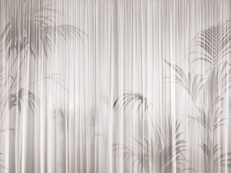 Fototapeta Cienie liści na jasnej zasłonie