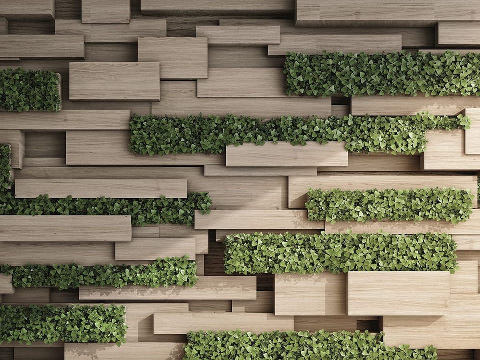 Fototapeta Drewniane panele z roślinami