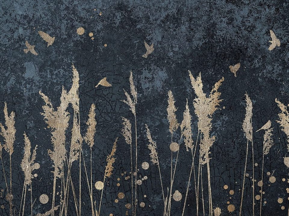 Fototapeta Złote trawy na ciemnym tle