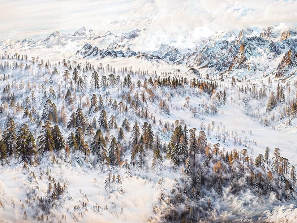 Fototapeta Śnieżny las i góry w tle