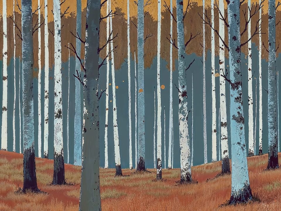 Fototapeta Las brzozowy z pomarańczowymi liśćmi