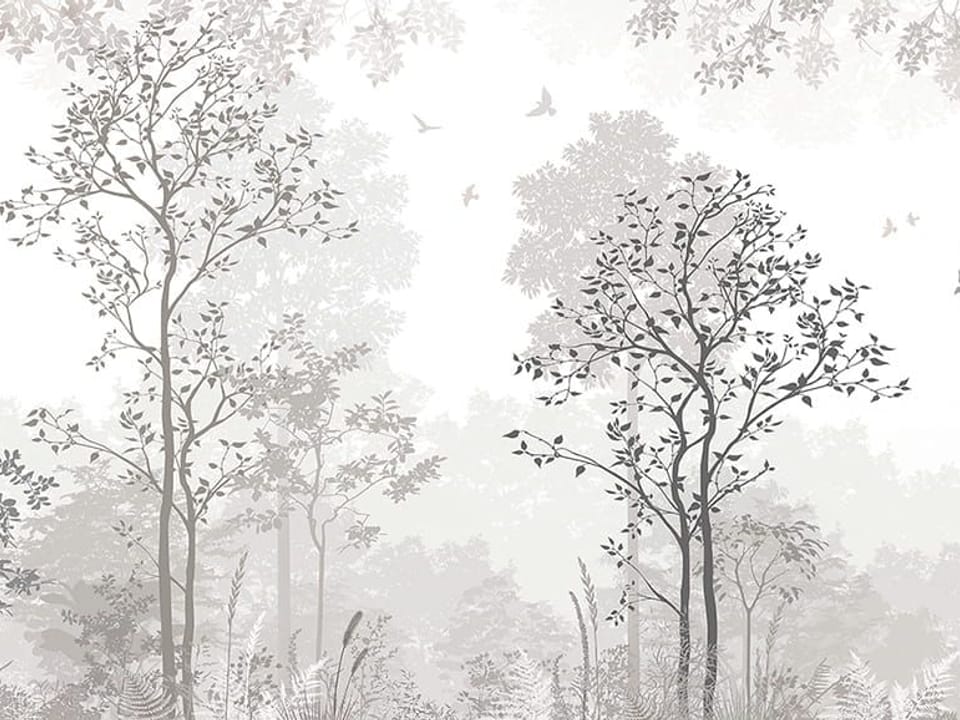 Fototapeta Spokojny Las z Wysokimi Drzewami