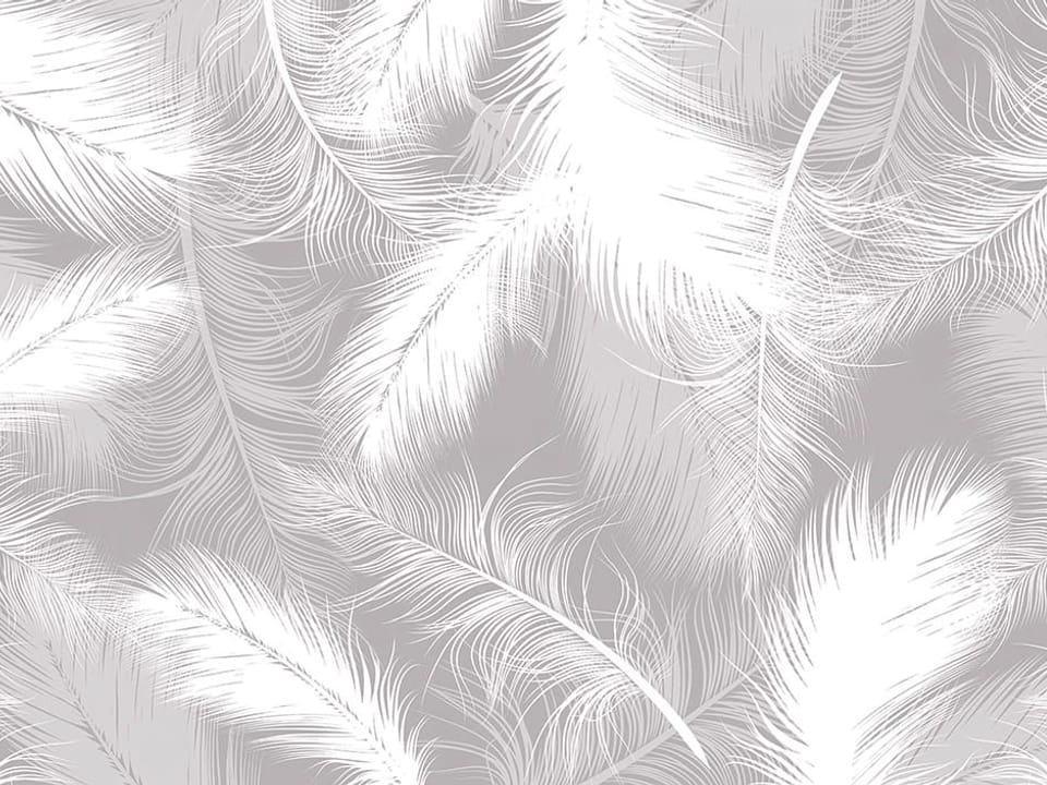 Fototapeta Białe pióra na szarym tle