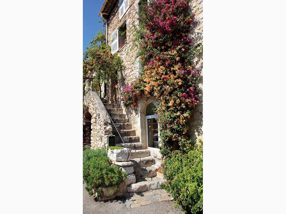 Fototapeta Kamienne schody z roślinnością