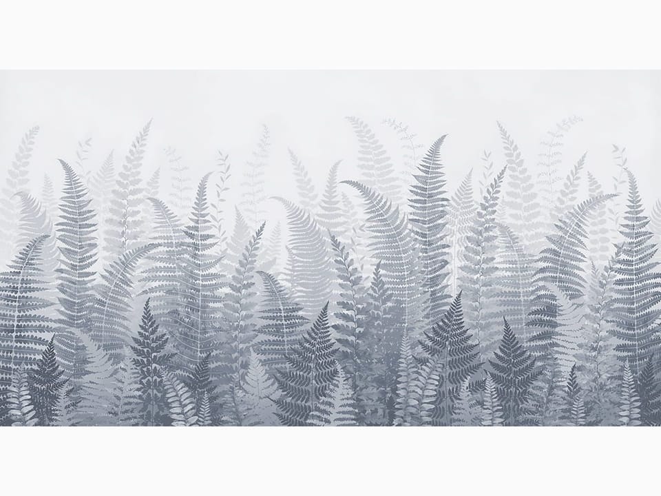 Fototapeta Gęste Paprocie w Szarościach